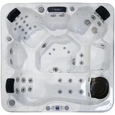 Avalon EC-849L hot tubs for sale in Montgomery
