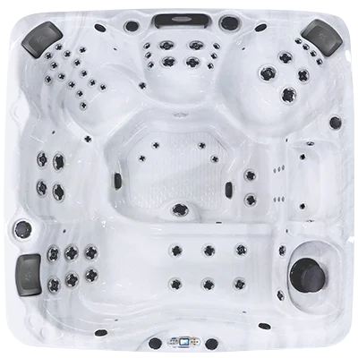 Avalon EC-867L hot tubs for sale in Montgomery